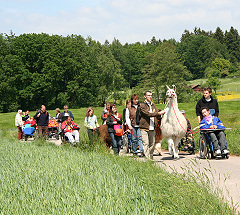 Foto von einer Wandergruppe, bestehend aus Rollstuhlfahrern und Fußgängern, mitten in einer grünen Sommerlandschaft. Sogar ein Lama ist mit dabei!