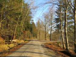 Nach etwa 800 Meter vom Parkplatz aus erreicht man die kleine Staumauer des Orrotsees. Links des Weges stehen 2 Sitzbänke. Rechts geht es auf die kleine Staumauer. Unser Weg führt aber geradeaus weiter - immer am Ufer entlang.