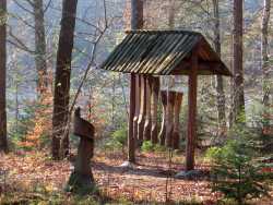 Rechts vom Wanderweg finden sich am Ufer ein großes Holz-Xylophon. Die Sonne scheint durch die Bäume.