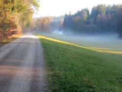 Der Weg führt weiter an einer Wiese vorbei in Richtung Orrotsee. Über der Wiese ziehen dicke Nebelschwaden. Das Foto entstand im Dezember 2015.