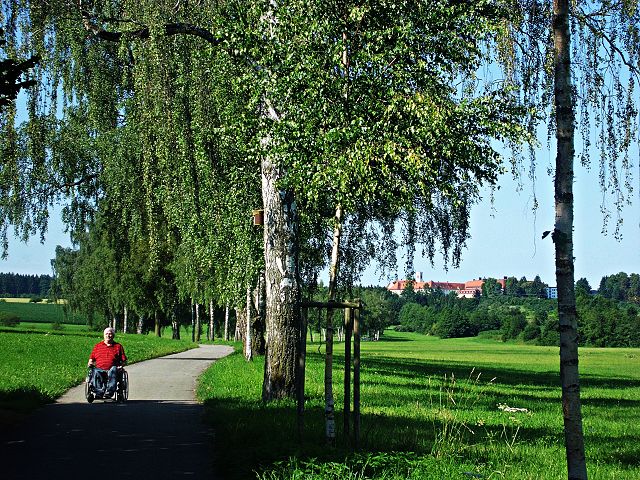 Birken- und Erlenallee des Sießener Fußweges (asphaltiert)