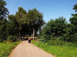 Einfahrt in den Bernhauser Weg, auch Birkenweg genannt