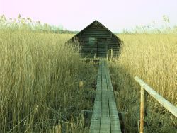 Mitten im Schilf steht ein Holzhaus, das über einen schmalen Bohlenweg zugänglich ist. Es zeugt von der früheren Besiedlung.