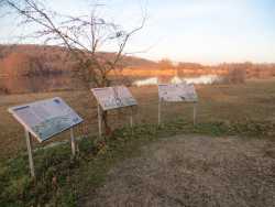 3 Infotafeln stehen im Halbrund direkt am Wegesrand und geben Auskunft über den See, die Auen und die Binsen. Dies alles kann man von dem Standort aus sehen.