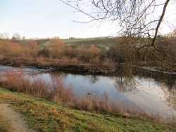 Auf dem Rückweg geht unser Blick auf den Neckar, der nun rechts vom Weg ist.