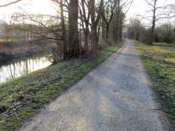 vom Parkplatz aus geht es direkt auf den Neckardammweg. Links ist der Neckar, rechts ist das Naturschutzgebiet. Zum Neckar hin säumen Bäume den Weg.