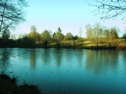 Blick auf den mittleren Bürgersee. Die Bäume spiegeln sich auf der gefrorenen Wasseroberfläche.