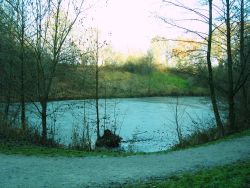 Blick auf den oberen Bürgersee. Die Wasseroberfläche ist bereits gefroren.