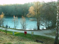 Blick auf den unteren Bürgersee. Herbststimmung. Das Laub ist gelb.