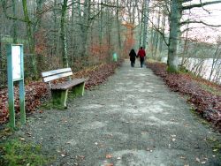 Gewässerlehrpfad rund um die Bürgerseen. Der Weg ist mineralisch. Am Wegrand sind Sitzbänke und Infotafeln.