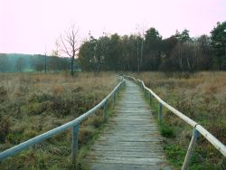 stufenlos begehbarer Bohlenweg durch die Torfgrube im NSG Schopflocher Moor