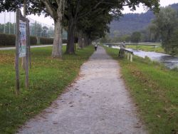 der Wasserlehrpfad an der Dreisam auf der Höhe des Badenova-Stadions. Zu sehen ist eine Infotafel sowie der gut befestigte Uferweg.