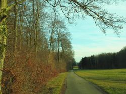 Auf dem Radweg mit roter Raute markiert geht es am Waldrand vorbei an einem Hochsitz bis zur Kreisstraße