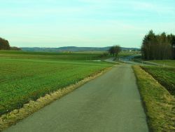 auf dem Radweg (