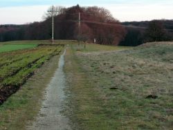 Das Wegstück zwischen Tor F und der Kreisstraße führt etwa 300 m am Heidengraben entlang und ist nur ein befestigter Wiesenweg