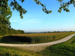 Heidengraben am Tor Seelenau im Herbst