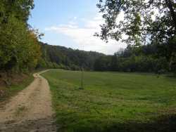 Wanderweg im Lonetal beim Wanderpark an der Öllinger Steige. Im Lonetal sind saftige Wiesen.