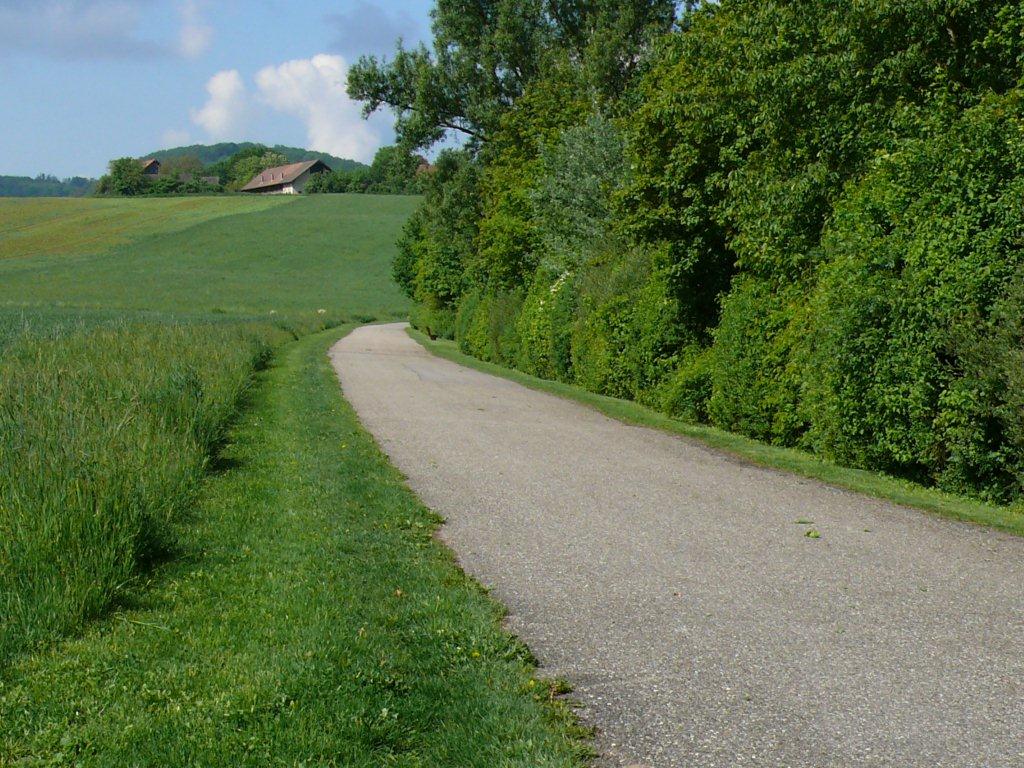 der Rundweg um den Breitenauer See ist gut befestigt