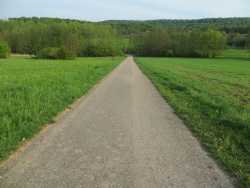 Der asphaltierte Weg führt durch Wiesen; im Hintergrund ist Wald.