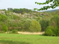 im Frhjahr besonders schön: der Blick über Wasser, Wald, Weinberg,Wiesen