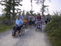 Rollifahrer und Läufer unterwegs auf einem Waldweg bei Hohenwart.