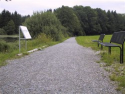 Infotafel des Naturerlebnispfads Isny am Ufer des Bleichenweiher. Für Rollifahrer gut erreichbar.