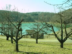 der Stausee liegt umgeben von Streuobstwiesen und Wald. Von der Wiese aus blickt man auf den Stausee. Am Ufer gibt es noch eine Infotafel über die Funktionsweise des Pumpspeicherwerks Glems.