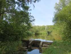 am Nordufer fließt die Lein in den Aichstrutsee. 