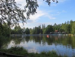 Ein Blick über den Waldsee, der umrahmt vom Wald ist. Im Hintergurnd das Restaurant Kulinarium. Auf der Wasseroberfläche spiegelt sich der Wald.