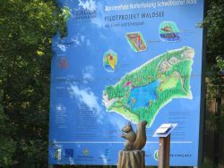 Eine große Übersichtstafel erklärt das Projekt barrierefreier Waldsee