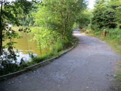 Der Uferweg führt zwischen See und Wald. Damit Rollstuhlfahrer nicht versehentlich die Uferböschung abstürzen, ist der Weg mit Radabweisern ausgestattet.