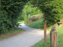 Der Uferweg ist bestückt mit Tierskulpturen aus Holz, die am Wegrand stehen und zum Staunen, Sehen und Fühlen einladen.