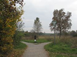 vom Parkplatz aus führt der Weg zum Beginn des Moorundwegs. An der Weggabelung steht eine Infotafel. Wenn man dem Weg nach rechts folgt, kommt man rasch zur Neckarquelle.