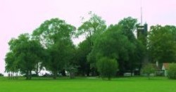 auf der Hochebene des Einkorn sieht man den Einkornturm, die Gaststätte im ehemaligen Forsthaus sowie Bäume, Grillstellen und Kinderspielplatz. Ideal für die ganze Familie.