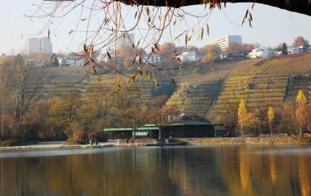 Blick auf die Halbinsel (mit Kiosk) im Max-Eyth-See. Im Hintergrund sieht man die Weinberge unterhalb von Freiberg.