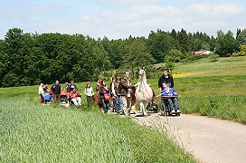 Foto: Eine Wandergruppe, bestehend aus Rollstuhlfahrern und Fußgängern, mitten in einer grünen Sommerlandschaft. Sogar ein Lama ist mit dabei!