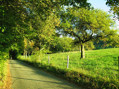 Foto: Spaziergang im Herbst